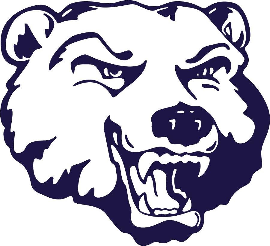 Belmont Bruins 1995-2003 Secondary Logo diy iron on heat transfer